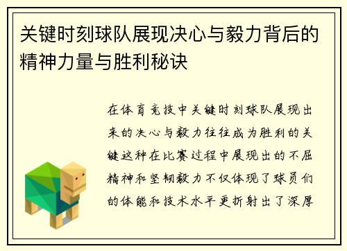关键时刻球队展现决心与毅力背后的精神力量与胜利秘诀